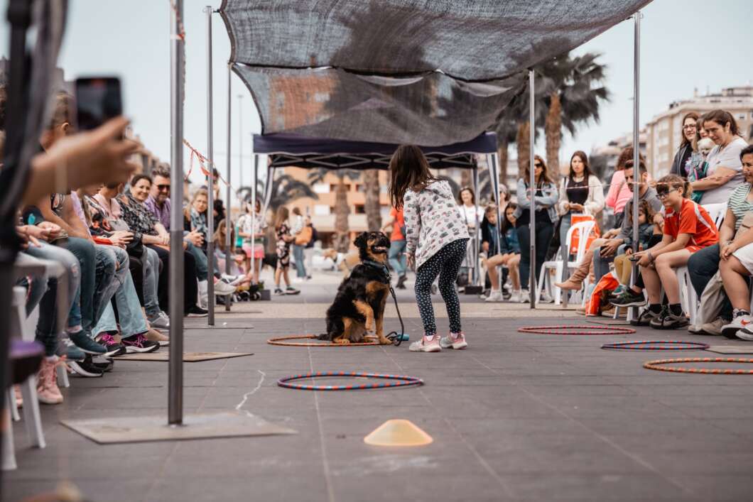 Castellón se prepara para acoger un festival familiar